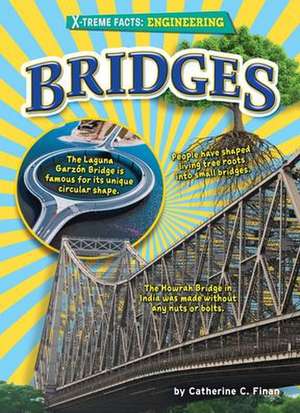 Bridges de Catherine C. Finan