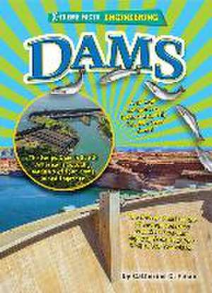 Dams de Catherine C. Finan