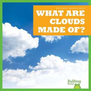 What Are Clouds Made Of? de Rebecca Pettiford