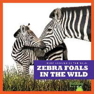 Zebra Foals in the Wild de Marie Brandle