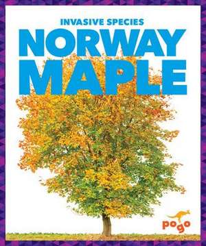 Norway Maple de Alicia Z Klepeis