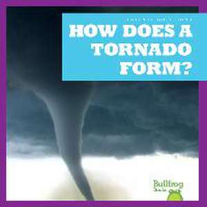 How Does a Tornado Form? de Megan Cooley Peterson