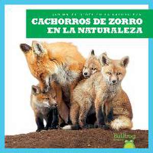 Cachorros de Zorro En La Naturaleza (Fox Kits in the Wild) de Katie Chanez