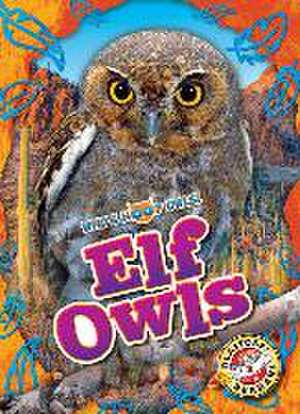 Elf Owls de Elizabeth Neuenfeldt