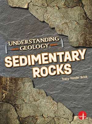 Sedimentary Rocks de Tracy Vonder Brink