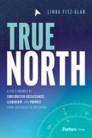 True North de Linda Fitz-Alan