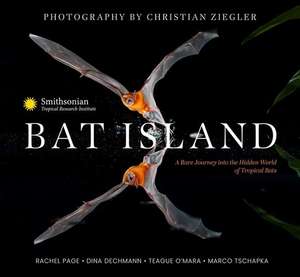 Bat Island de Rachel A Page