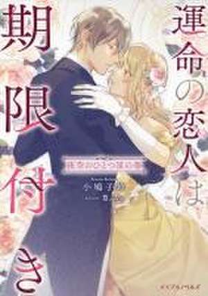 True Love Fades Away When the Contract Ends - One Star in the Night Sky (Light N Ovel) [Volume 1] de Kosuzu Kobato