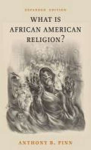 What Is African American Religion? de Anthony B. Pinn