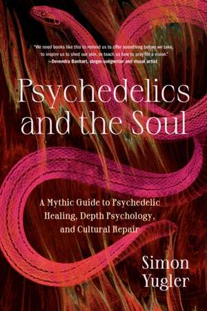 Psychedelics and the Soul de Simon Yugler