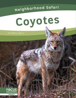 Rains, D: Coyotes de Dalton Rains
