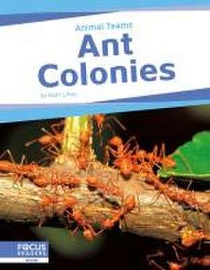 Ant Colonies de Matt Lilley