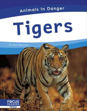 Tigers de Nick Rebman