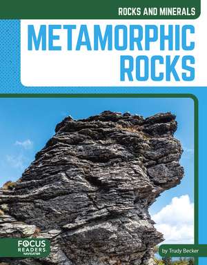 Metamorphic Rocks de Trudy Becker