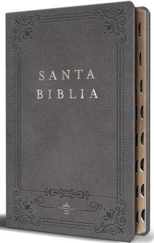 Biblia Rvr 1960 Letra Grande Tamaño Manual, Piel Gris Con Índice / Spanish Bible Rvr 1960 Handy Size Large Print Leathersoft Gray with Index de Reina Valera Revisada 1960