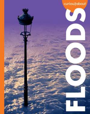 Curious about Floods de Rachel Grack