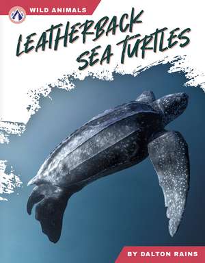 Leatherback Sea Turtles de Dalton Rains