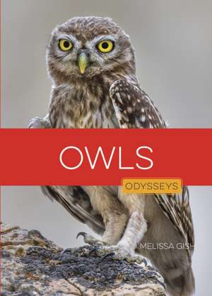 Owls de Melissa Gish