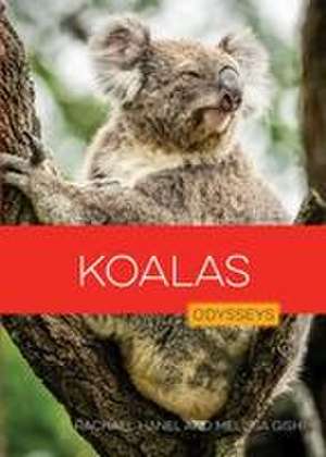 Koalas de Hanel Gish