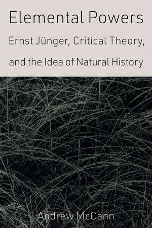 Elemental Powers: Ernst Jünger, Critical Theory, and the Idea of Natural History de Andrew McCann