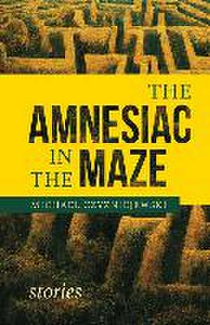 The Amnesiac in the Maze de Michael Czyzniejewski