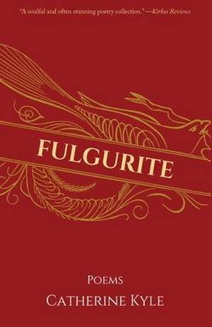 Fulgurite de Catherine Kyle