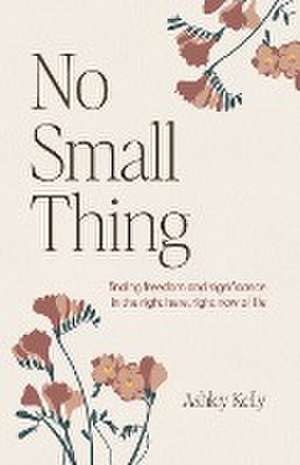 No Small Thing de Ashley Kelly