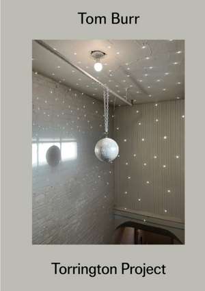 Tom Burr: Torrington Project