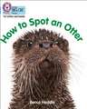 Be an Otter Expert