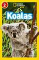 Koalas