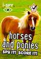 i-SPY Horses and Ponies