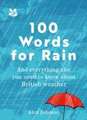 100 Words for Rain