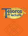 Tesoros de Lectura, a Spanish Reading/Language Arts Program, Grade 3, Monitoring Program Assessment