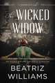 The Wicked Widow: A Wicked City Novel