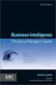 Business Intelligence: The Savvy Manager's Guide