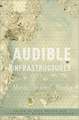 Audible Infrastructures