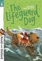 Read with Oxford: Stage 6: The Lifeguard Dog