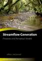 Streamflow Generation: Processes and Perceptual Models