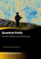 Quantum Fields -- From the Hubble to the Planck Scale