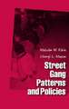 Street Gang Patterns and Policies