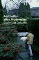 Aesthetics After Modernism