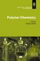 Polymer Chemistry: A Practical Approach