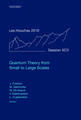 Quantum Theory from Small to Large Scales: Lecture Notes of the Les Houches Summer School: Volume 95, August 2010