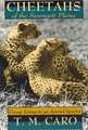 Cheetahs of the Serengeti Plains: Group Living in an Asocial Species