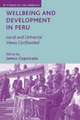 Wellbeing and Development in Peru: Local and Universal Views Confronted