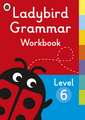 Ladybird Grammar Workbook Level 6