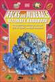 Rocks and Minerals Ultimate Handbook: The Need-to-Know Facts and Stats on More Than 200 Rocks and Minerals