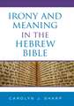 Irony and Meaning in the Hebrew Bible