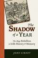 The Shadow of a Year: The 1641 Rebellion in Irish History and Memory