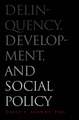 Delinquency, Development, and Social Policy